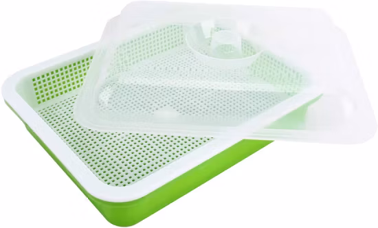 Stampo per termoformatura Vassoio piatto Stampo per iniezione Starter per semi Stampo per vassoio idroponico