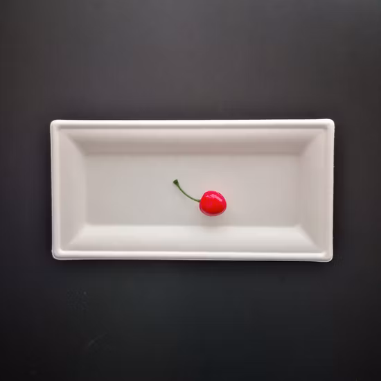 Bagassa di canna da zucchero compostabile biodegradabile che forma imballaggi usa e getta Piatti di carta per la tavola Prodotti usa e getta ecologici